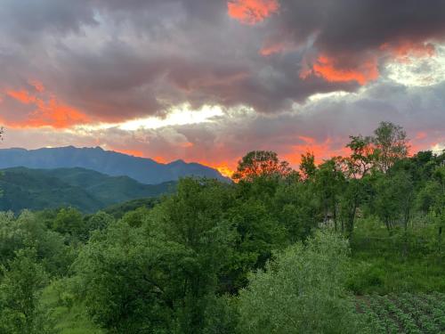 Kilátás, Casa Verde in Baile Olanesti