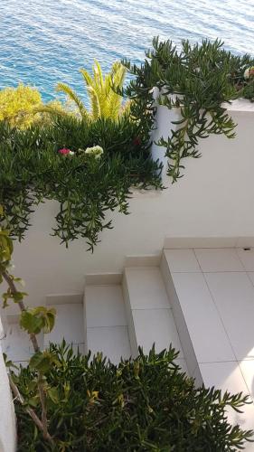 Apartments Jaković - image 2