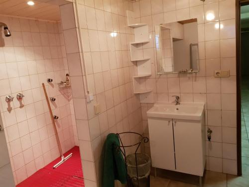 Ferienwohnung und Monteurwohnung mit großer begehbarer Dusche