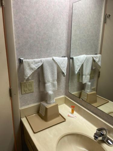 Budget Inn Timmonsville - 화장실