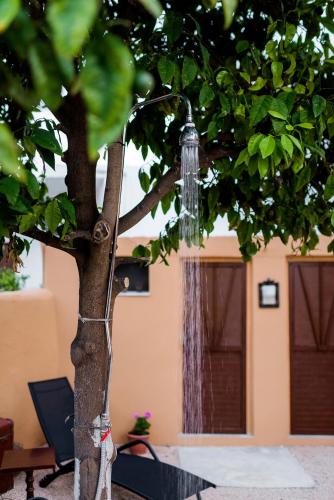 Apartment with Garden View image 9