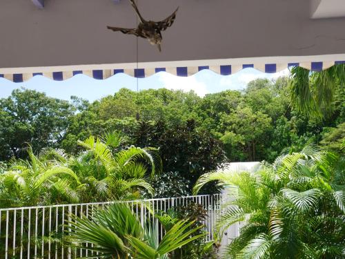 La Case de Guy, Le Gosier (foto 8)