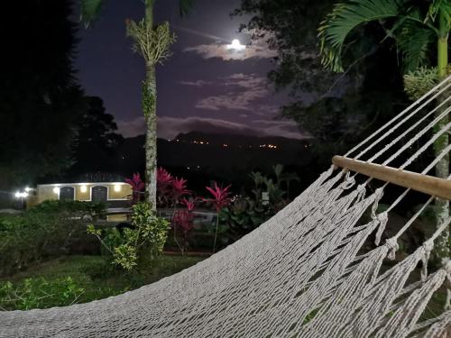 Programlehetőségek, Hotel Villa Florencia in Cartago