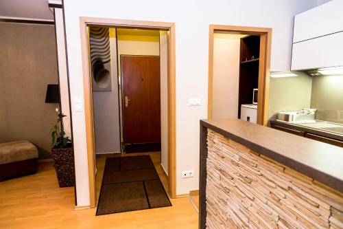 Arpad Bridge Apartments Room Type - One-Bedroom Apartment with Terrace Arpad Bridge Apartments Room Type - One-Bedroom Apartment with Terrace