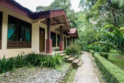 Ecolodge Bukit Lawang Cottages