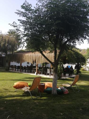  myndos bed & breakfast in Bodrum