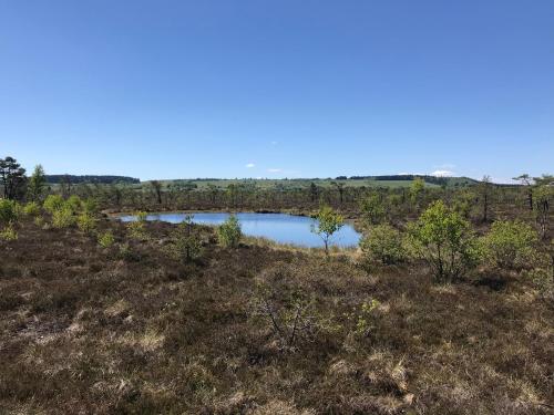 Pension Liesbachtal - image 14