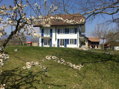 B&B Domaine En Trembley - Accommodation - Commugny