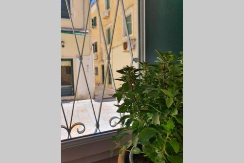 Elia Luxury Suite, Corfu Town
