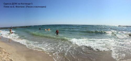 Вилла у моря отдых с питомцами