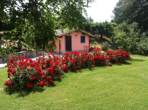 Colonica Poggio Renai