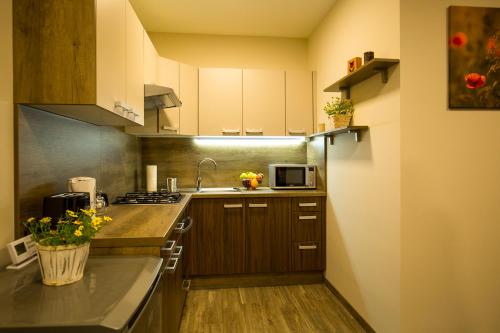 Dapur, Bodzaház Apartman (Bodzahaz Apartman) in Szekesfehervar