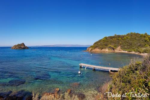 Warm house with swimming pool and garden - Dodo et Tartine gîte à louer Le Plan du Pont