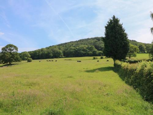 Lees Moor Cottage - image 4