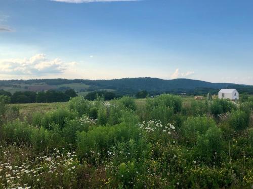 Tentrr - Hudson Valley Hilltop Campsite 2 - main image