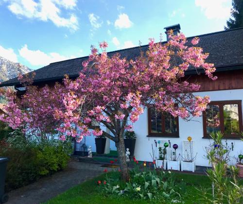 Haus Belli in Bad Aussee, Österreich