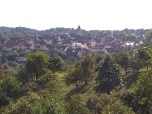 Ferienwohnung Graf 2.9km von Unterjesingen entfernt