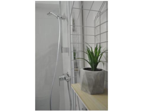 Epicurieux Room Type - One-Bedroom Apartment