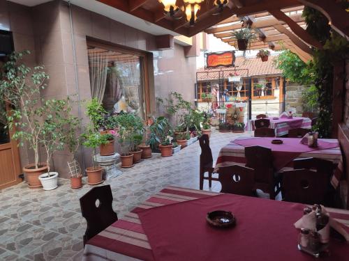 Family Hotel Denica in Obzor