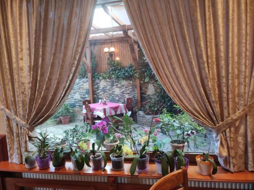 Family Hotel Denica in Obzor