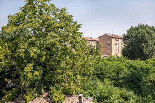 Emilia Suite Essence Emilia Suite Essence