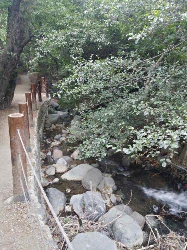 Minaides Hotel - image 11