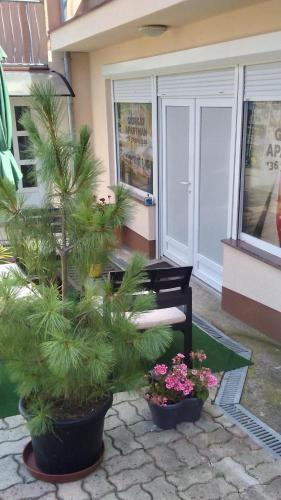 Hillside Wellness Apartman - image 6