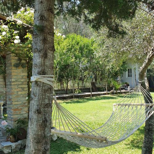 Σγουρής (Sgouris), Lefkímmi (fotografie 10)