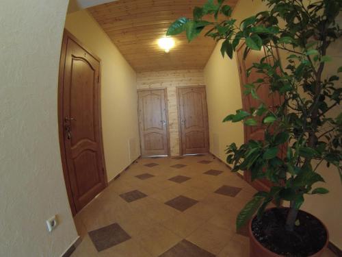 Žemyna Apartmentai