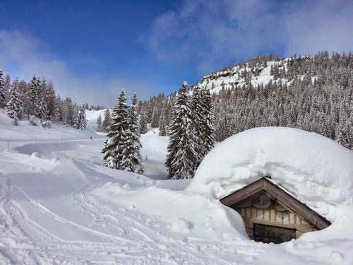 Hotel B&B Francolini