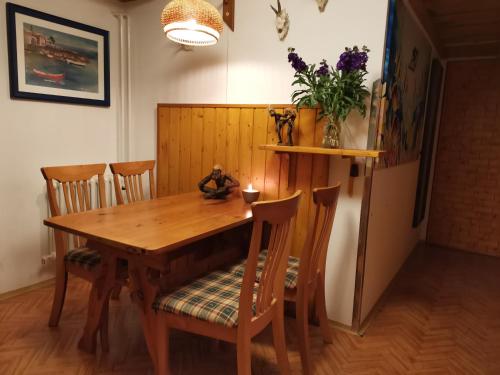 Apartman u vody Frymburk