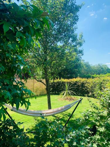 Residence 1898 in Odoornerveen