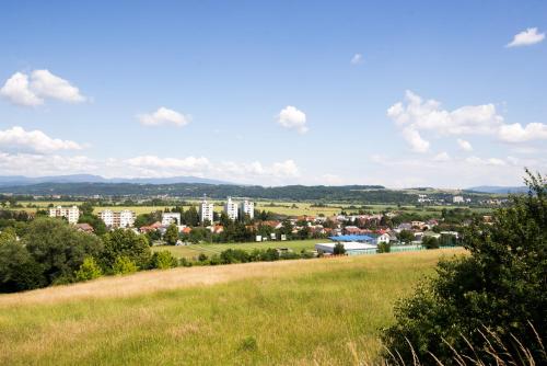 Apartmán Albert v Spa dedinke