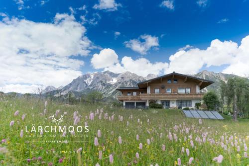 Appartements Lärchmoos - Apartment - Ramsau am Dachstein