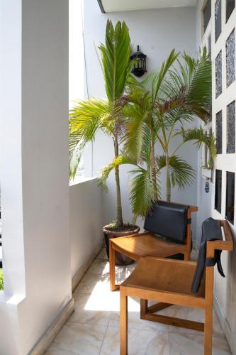 Balcony/terrace, Nhu Huynh Hotel in District 6