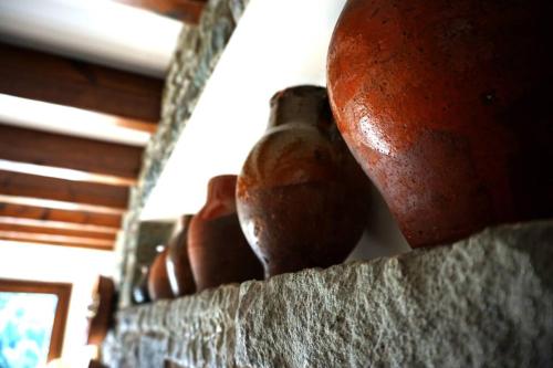 CAN REXACH CAN REXACH