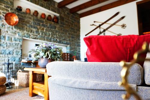 CAN REXACH CAN REXACH