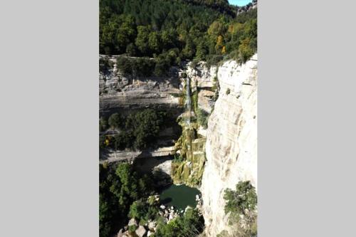 CAN REXACH CAN REXACH