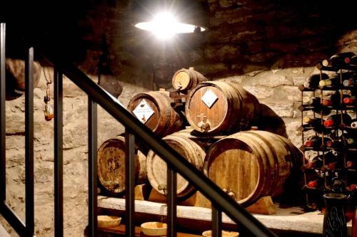 CAN REXACH CAN REXACH