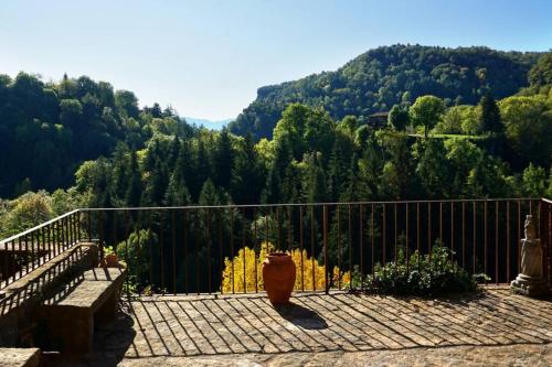 CAN REXACH CAN REXACH