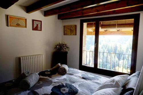 CAN REXACH CAN REXACH