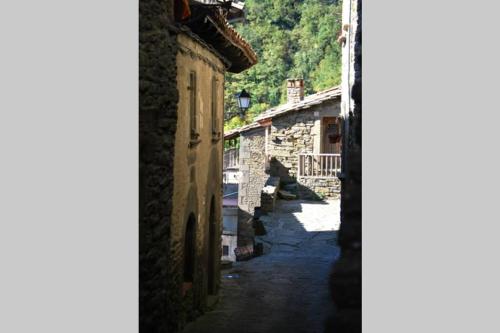 CAN REXACH CAN REXACH