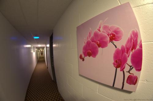 Hotel Royal Plaza – Winnipeg