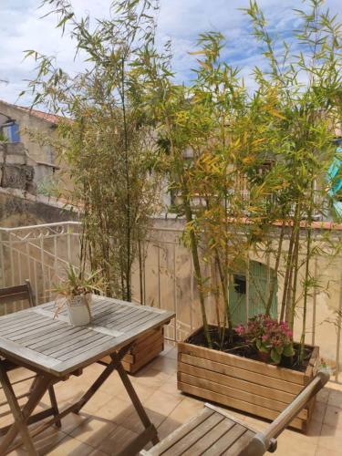 Maison de village avec terrasse gîte à louer Saint-Mitre-les-Remparts