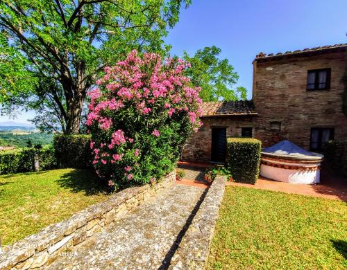 Borgo La Casaccia - image 14