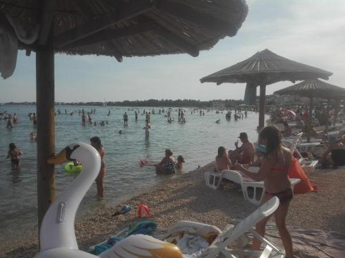 Apartman Bunarić (Apartman Bunaric) in Vir