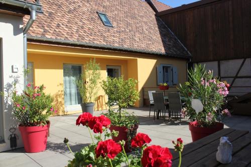. Gîte Le Cep d'Or Alsace