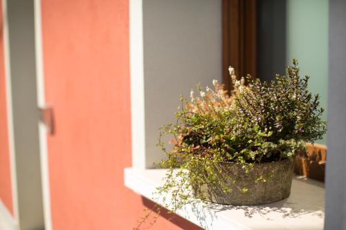 Guest House Bella Onda - image 13