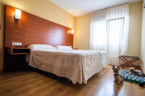 Pension Viella Asturias in Pola de Siero