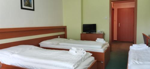 HOTEL SVRATKA - image 6